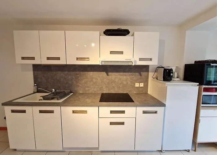 Villa Maison Spacieuse Avec Piscine, Tennis Et Terrasse, Parking Prive A - Fr-1-387-163 Marseillan (Herault)